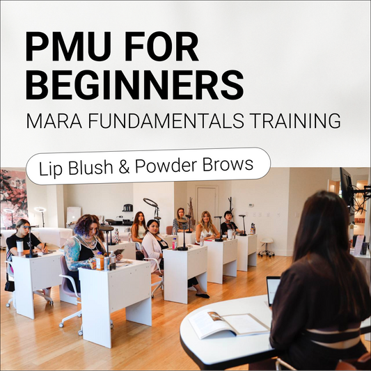 Training session for PMU beginners with participants at desks learning about lip blush and powder brows.