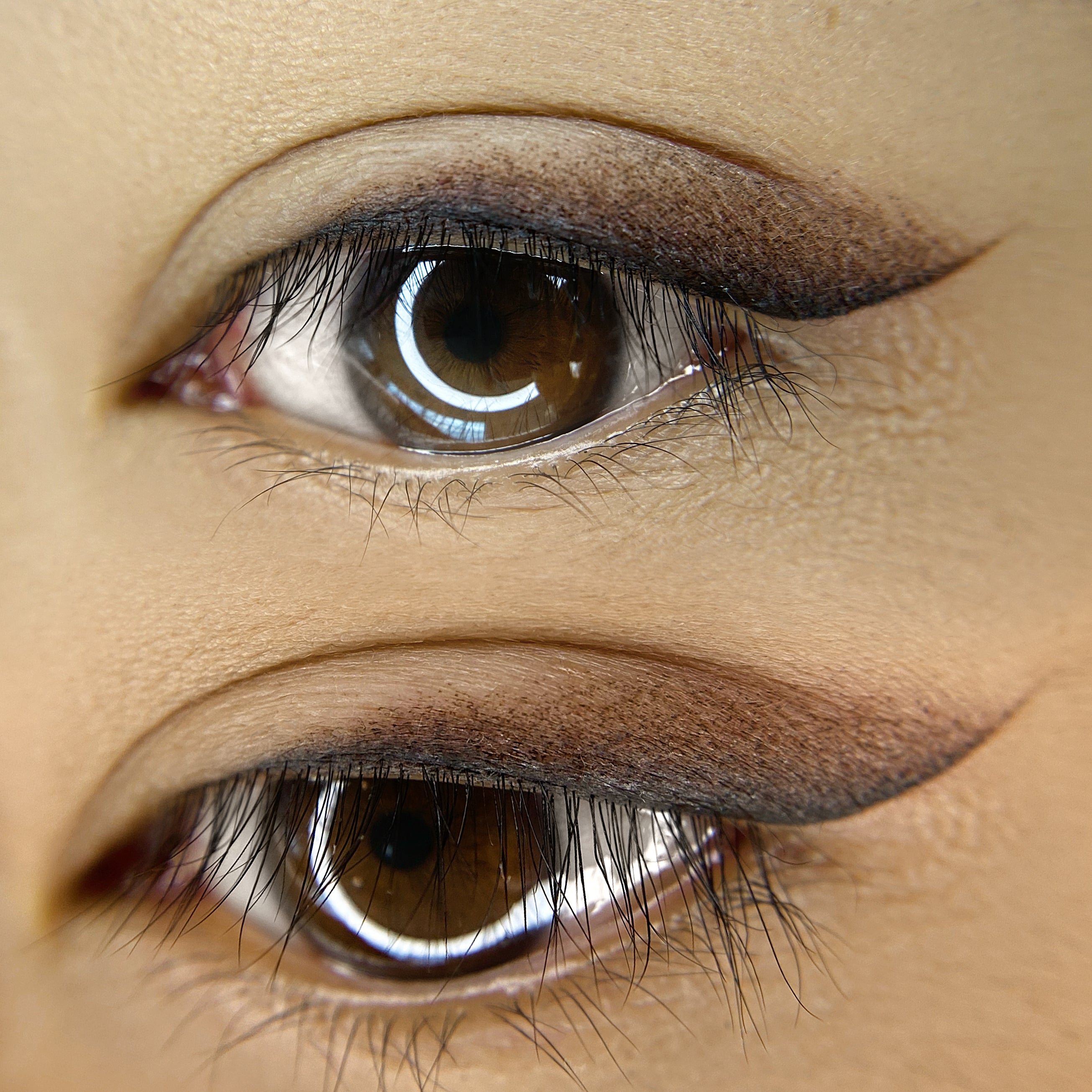 MARA Pro Dreamy Eyeliner Pigments Set – Mara Pro
