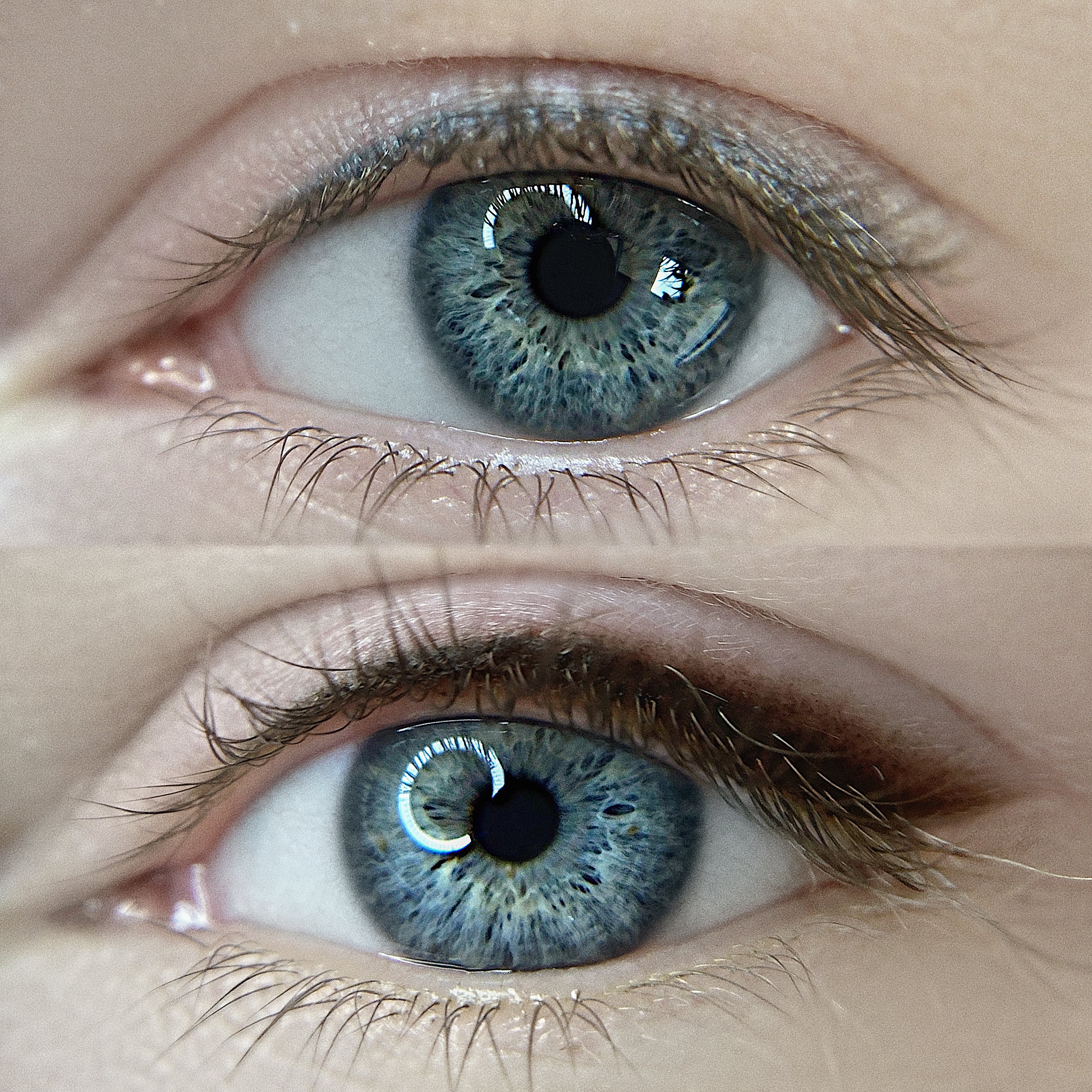 MARA Pro Dreamy Eyeliner Pigments Set – Mara Pro